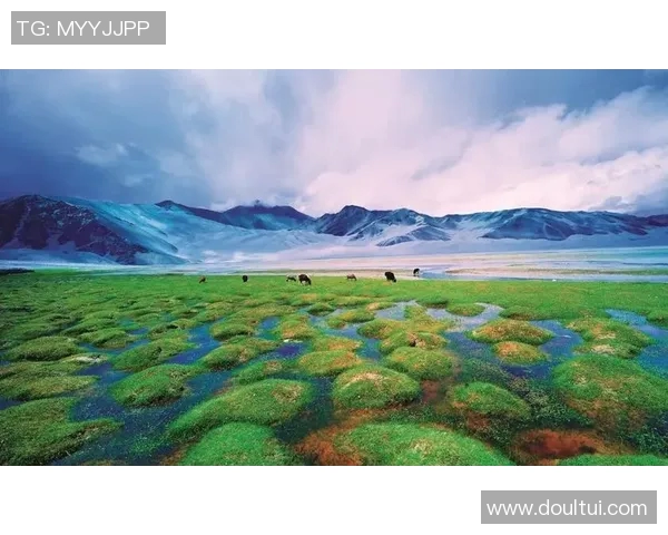 廖三宁：在音乐与人生的交汇点上追寻梦想与自由的旅程