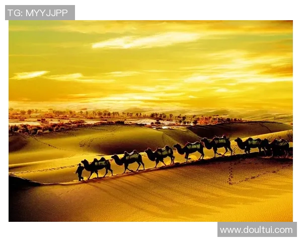 南方钢铁与北方神秘的较量探秘文化与产业的交融之路