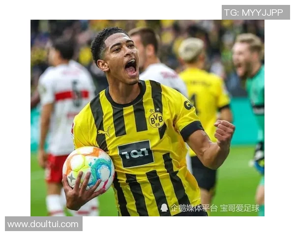 哈兰德：从天才少年到足球巨星的华丽转身与未来展望